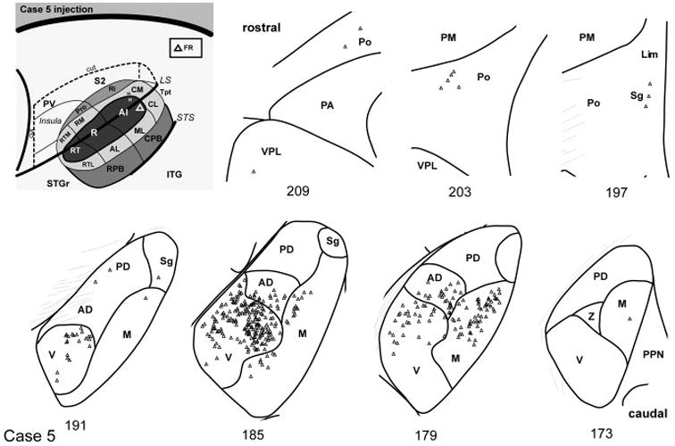 Fig. 14