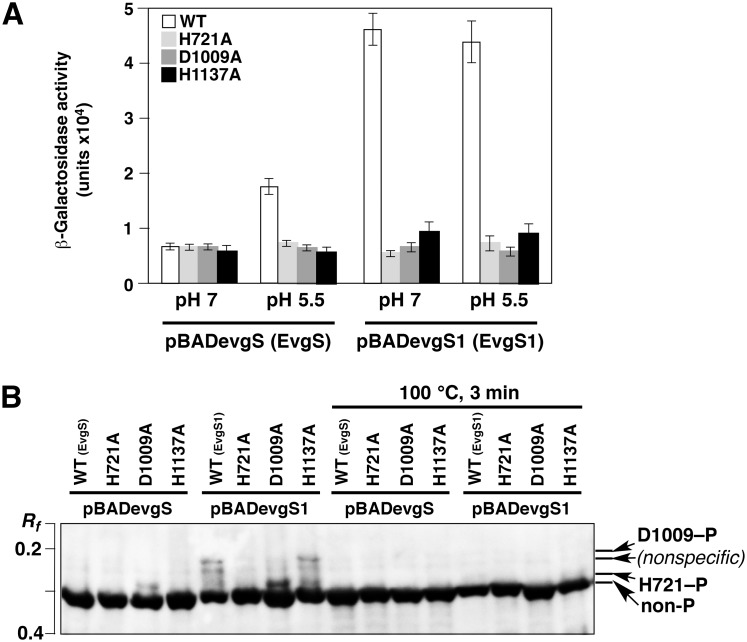 Fig 8