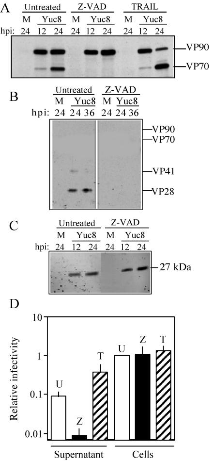 FIG. 5.