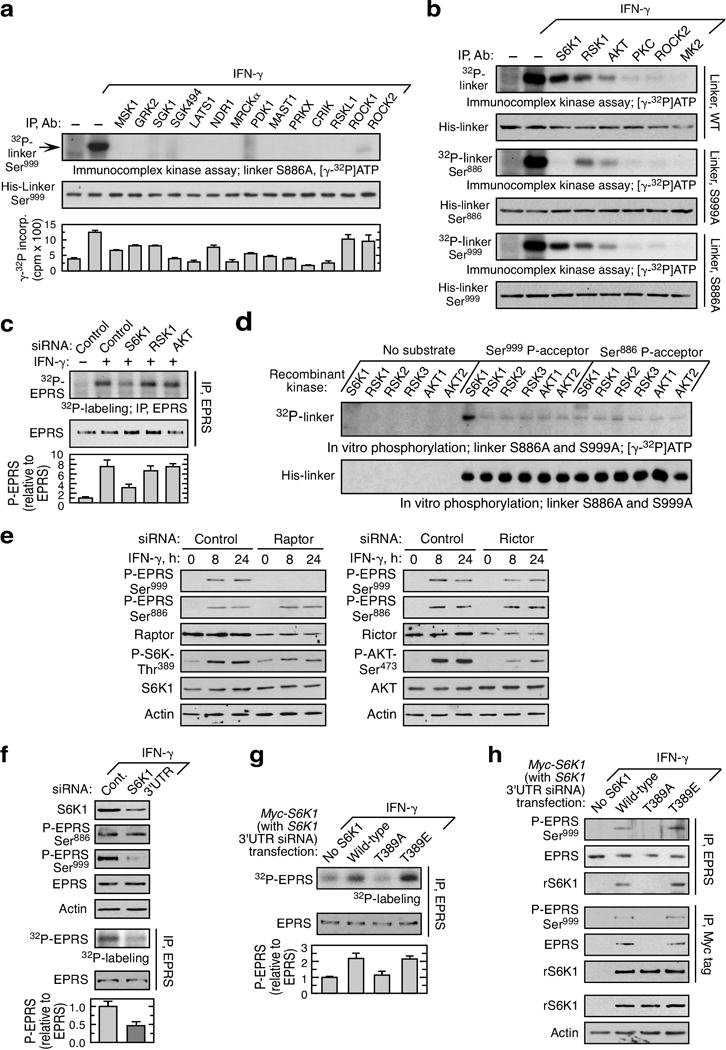 Extended Data Figure 1