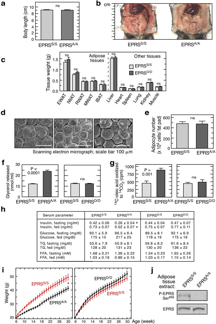 Extended Data Figure 4