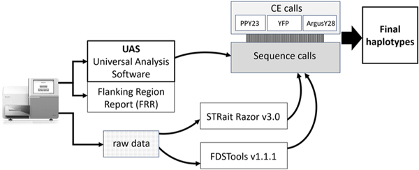 Fig. 2.