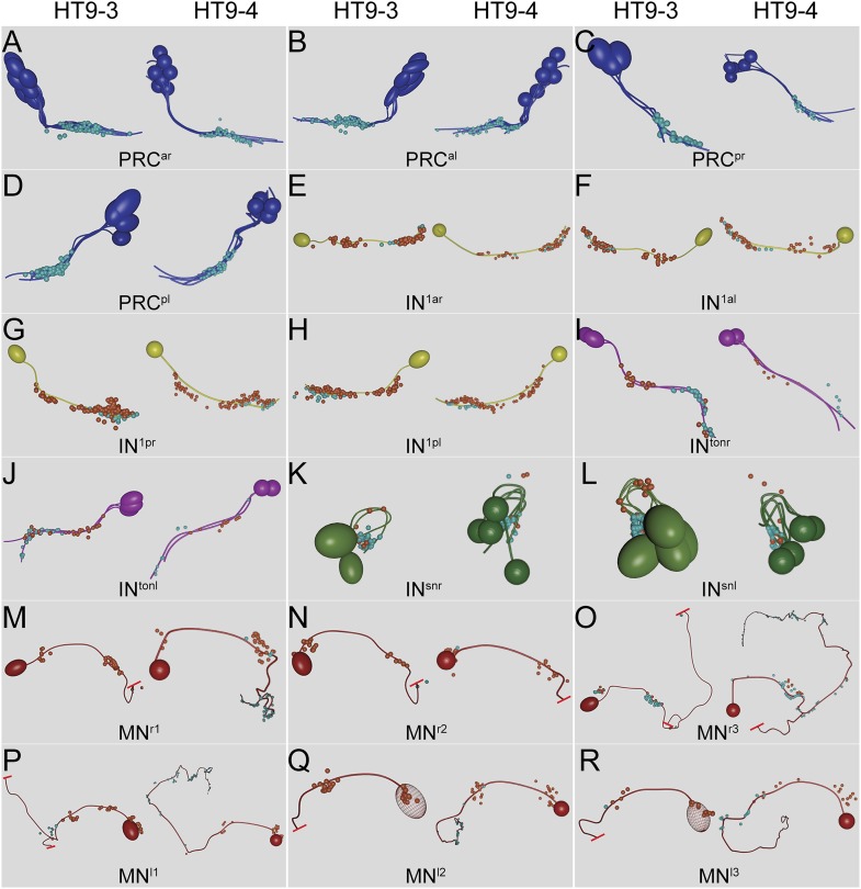 Figure 2—figure supplement 1.