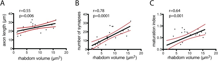 Figure 3—figure supplement 1.