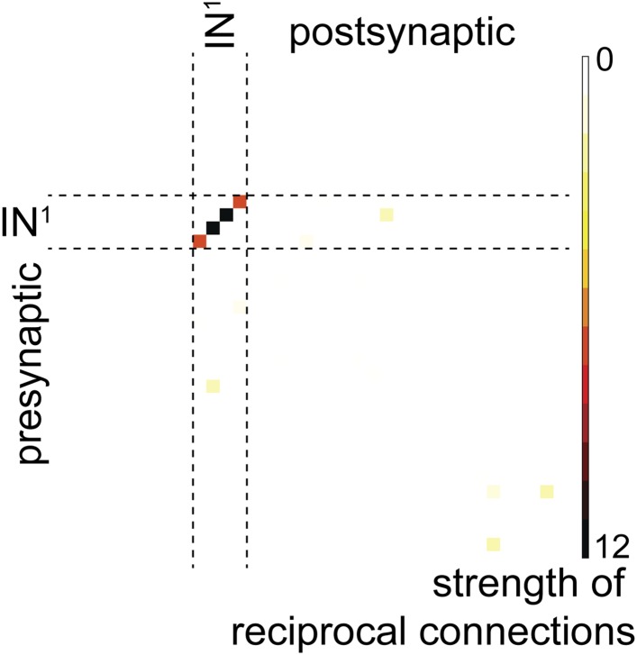 Figure 2—figure supplement 2.