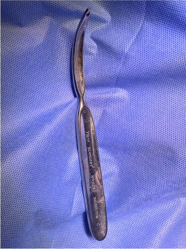 Fig. 2