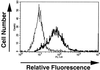 Fig 3.