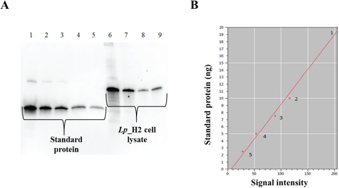 Fig 4