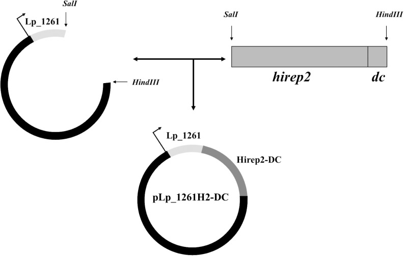 Fig 1