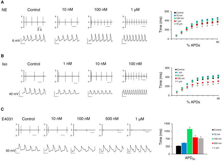 Figure 7