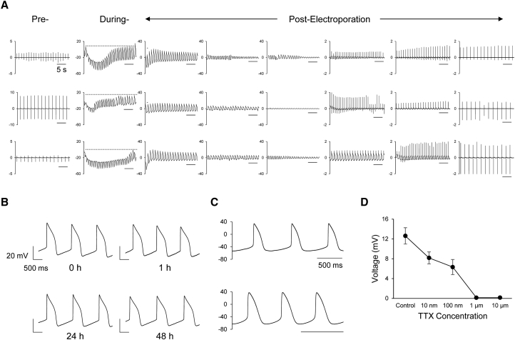 Figure 3