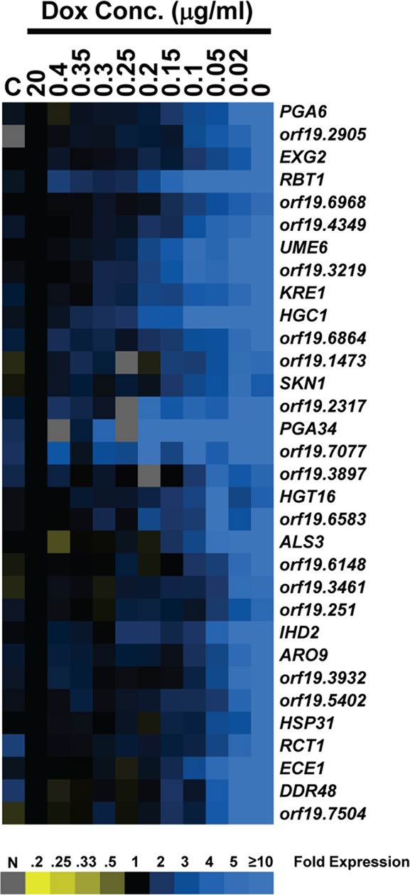 FIGURE 2: