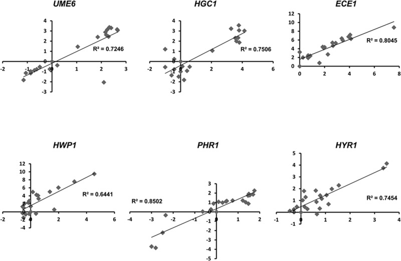 FIGURE 4: