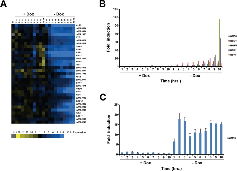 FIGURE 3: