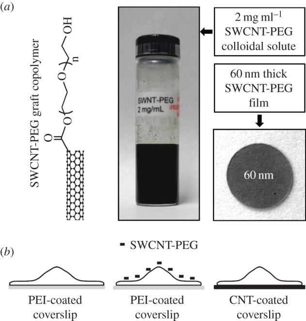 Figure 1.