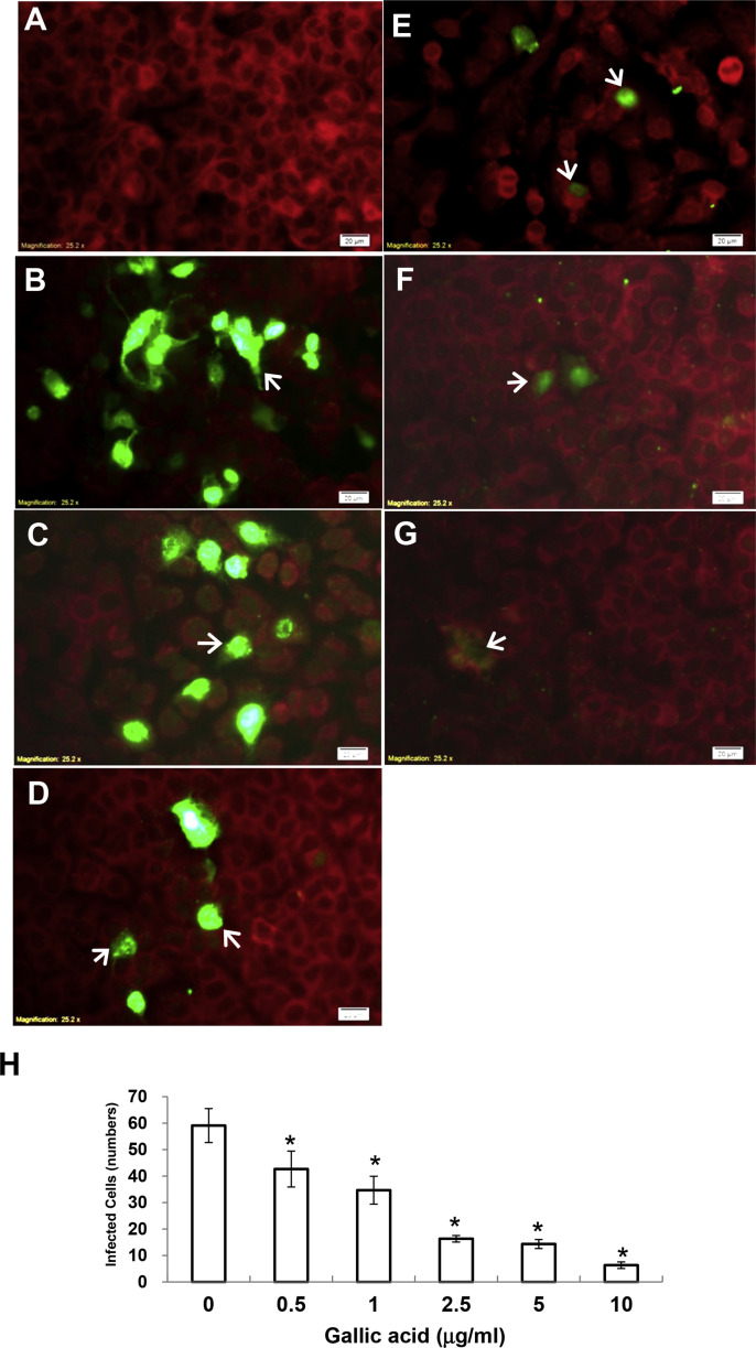 Fig. 6