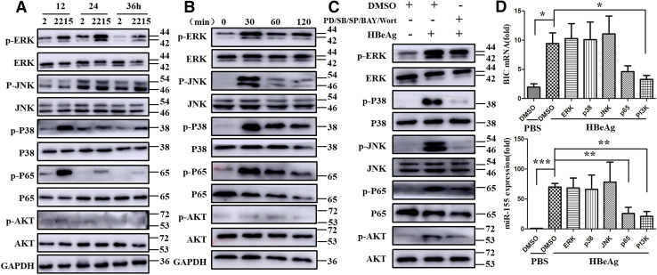 Fig. 6