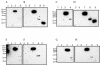 FIG. 5.