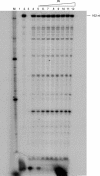 FIG. 8.