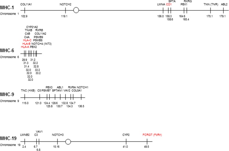 Fig. 2