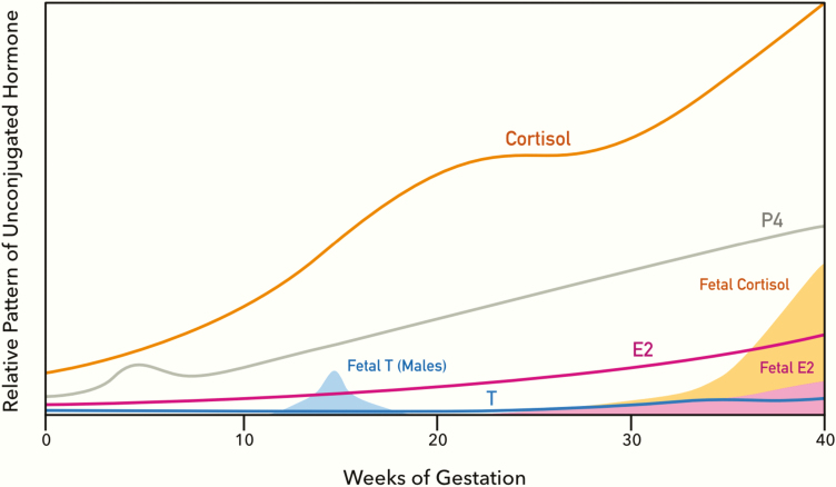 Figure 5.