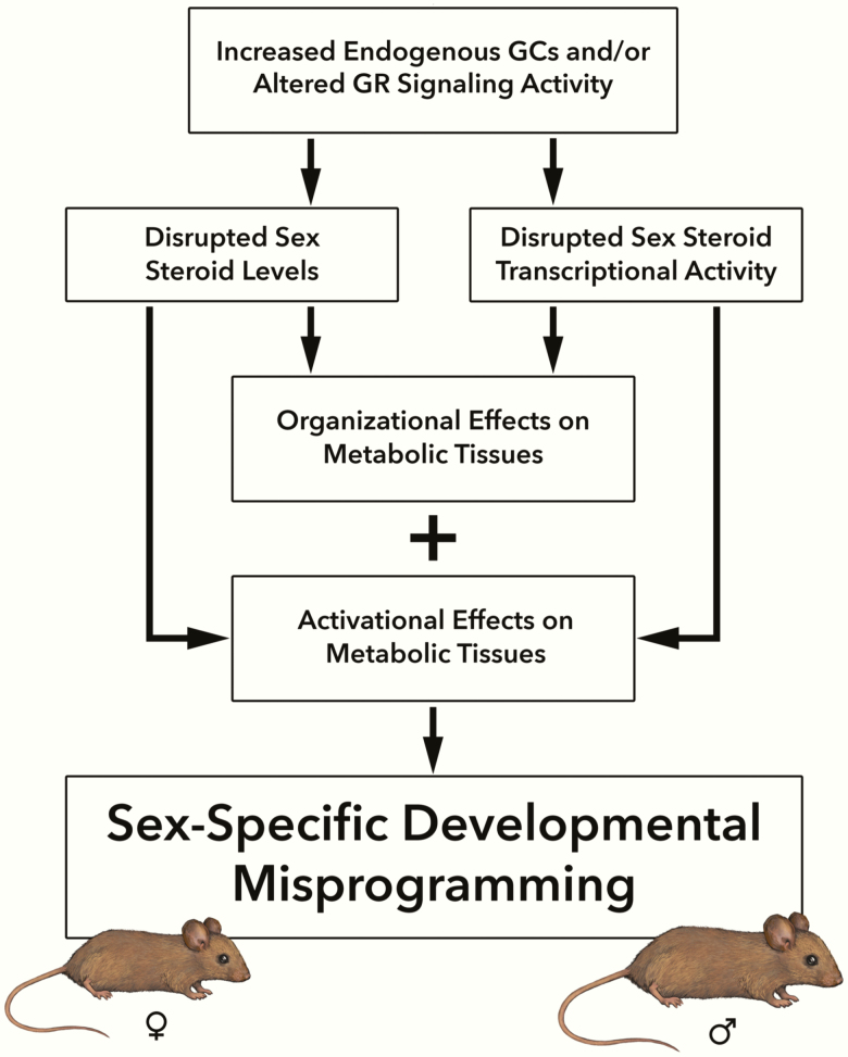 Figure 4.