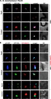 FIG 6