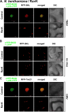 FIG 8