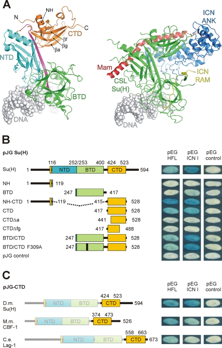 FIGURE 1: