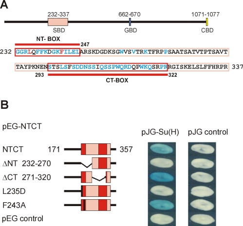 FIGURE 3: