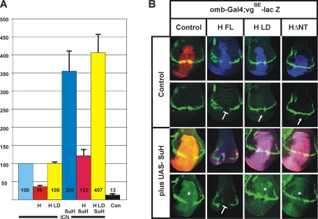 FIGURE 6: