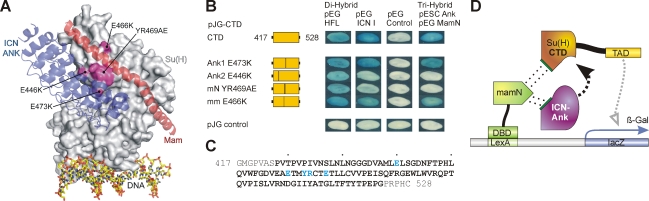 FIGURE 2: