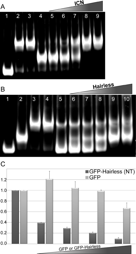 FIGURE 5: