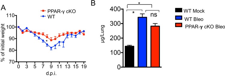 Fig 5