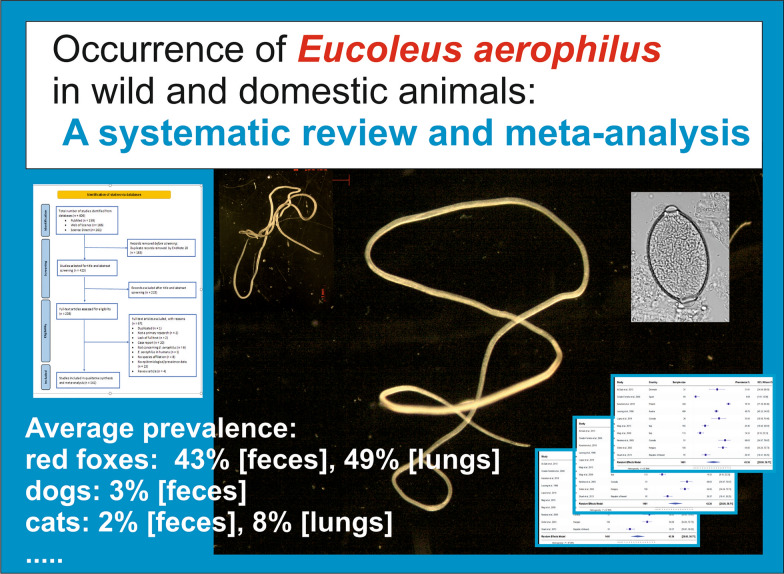 graphic file with name 13071_2023_5830_Figa_HTML.jpg