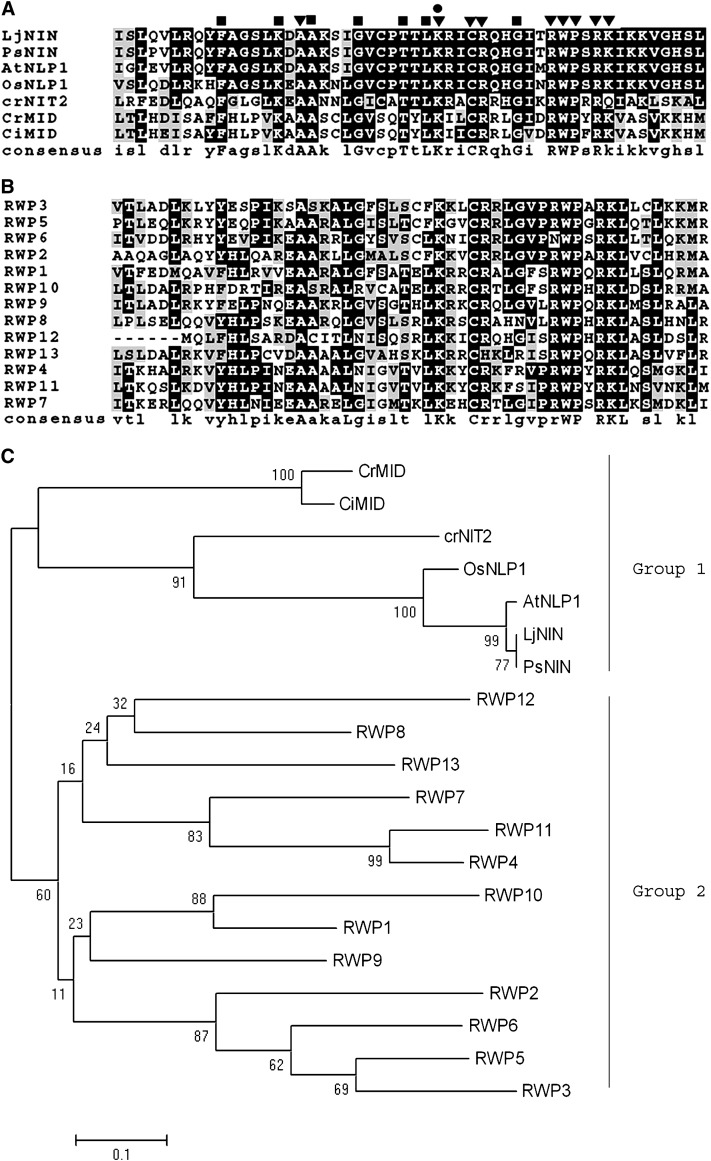 Figure 1.—