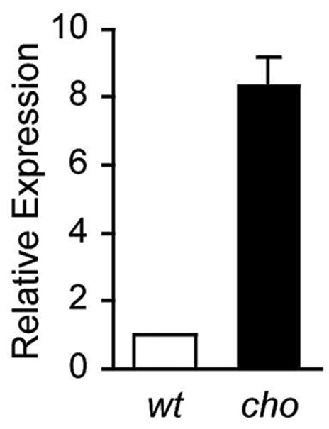 Fig. 5