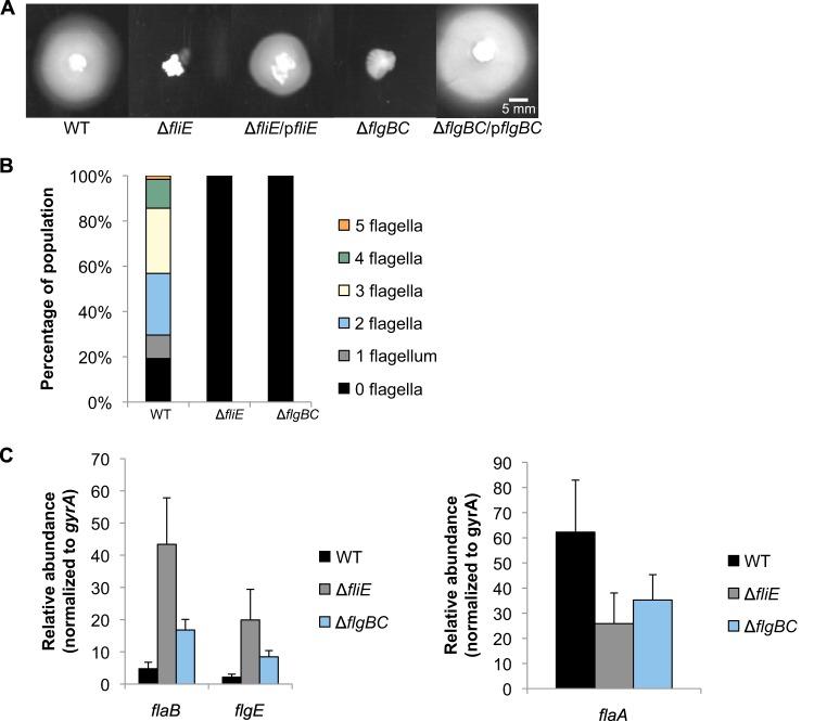 FIG 4