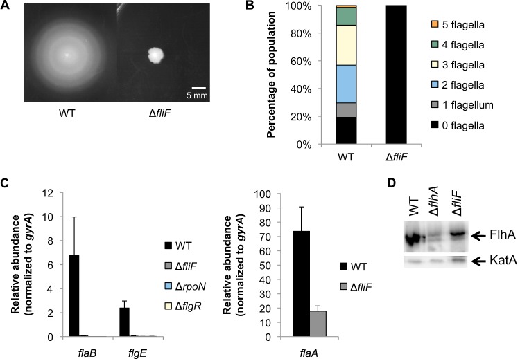 FIG 2