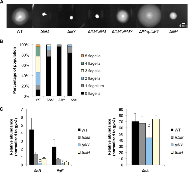 FIG 3