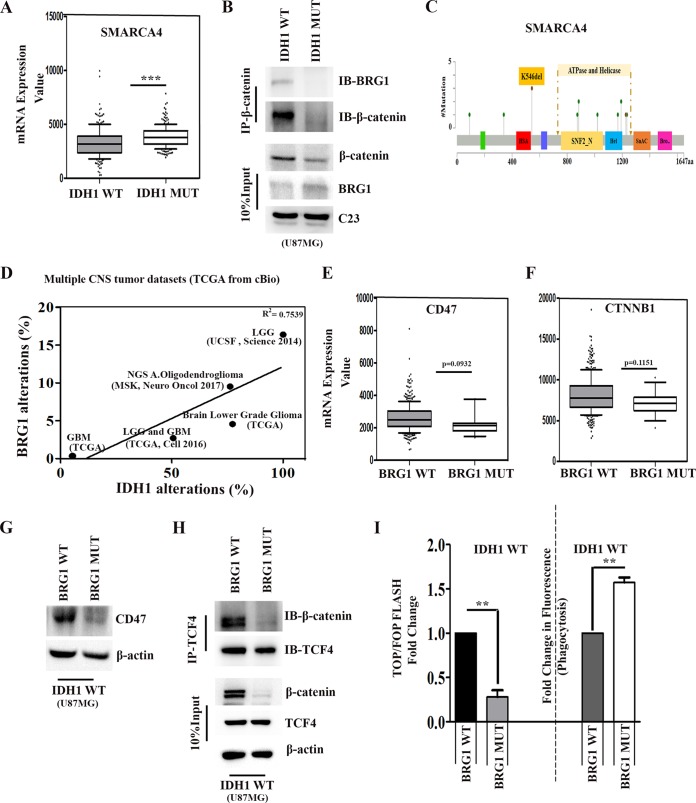 FIG 6