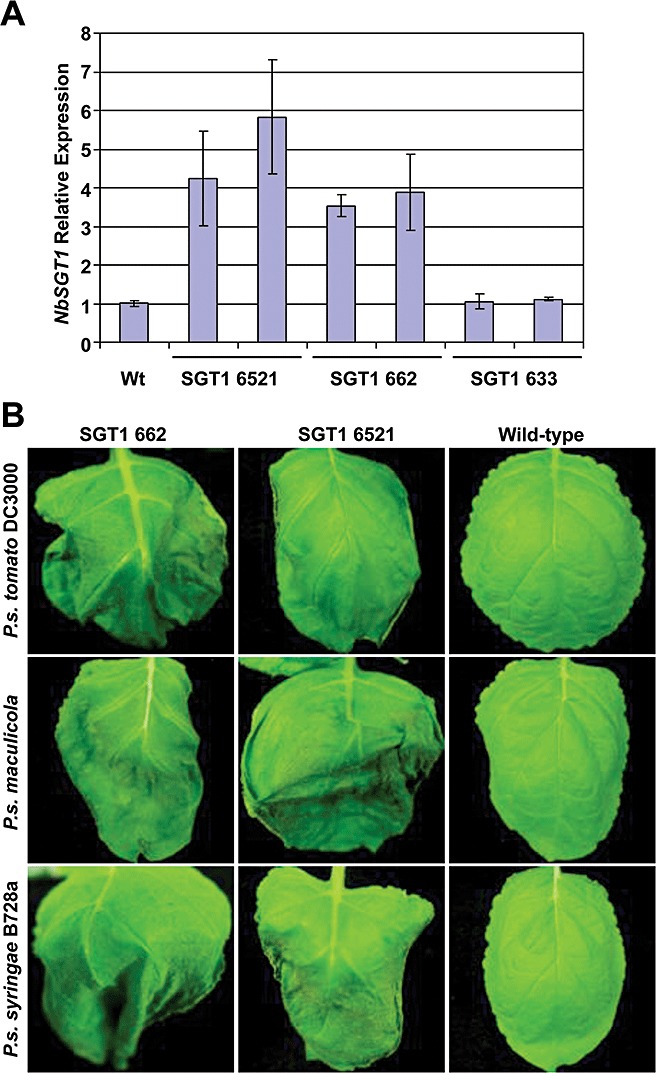 Figure 7