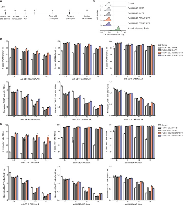 Figure 6—figure supplement 5.