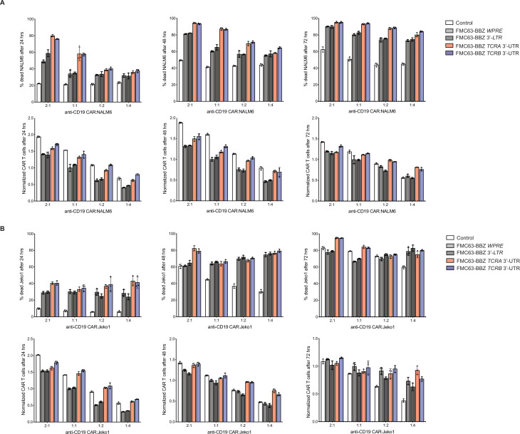 Figure 6—figure supplement 2.