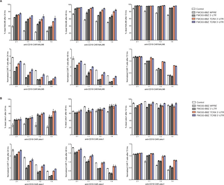 Figure 6—figure supplement 3.