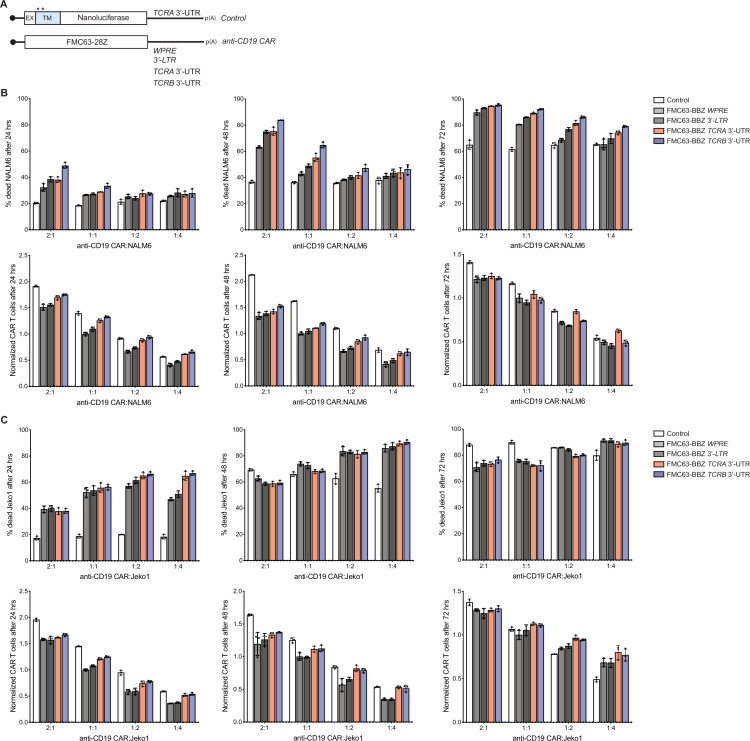 Figure 6—figure supplement 6.