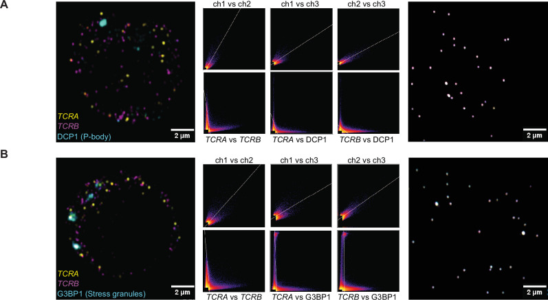 Figure 1—figure supplement 2.