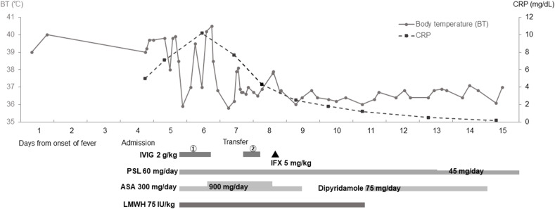 Fig. 2