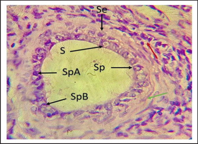 Fig. 6.