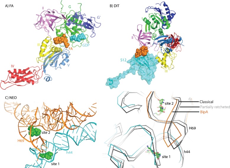 Figure 5.